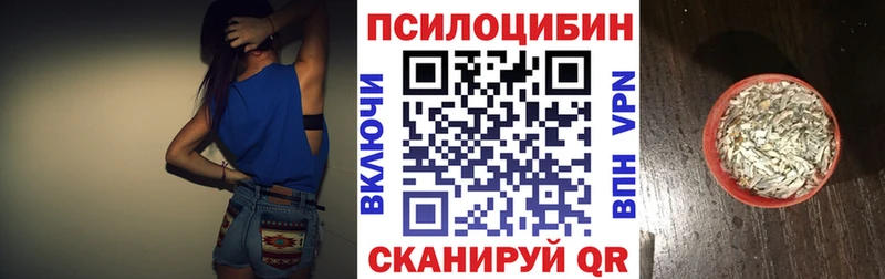 Псилоцибиновые грибы Psilocybe как найти гидра Новосиль